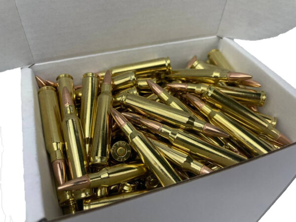 .223 Rem 55gr FMJ 250Stk